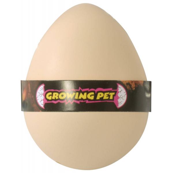 Growing eggs sea animals - Eduplay-130220
