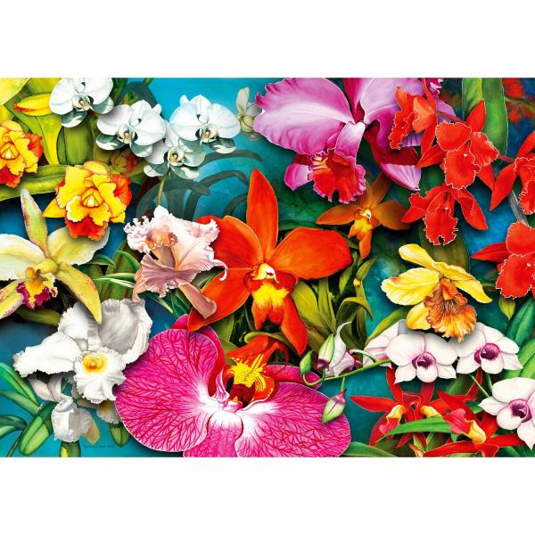 Puzzle 1000 Pièces : Jungle d'Orchidées - Enjoy-2033