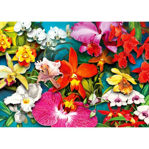 Puzzle 1000 Teile :  Orchideendschungel - Enjoy-2033