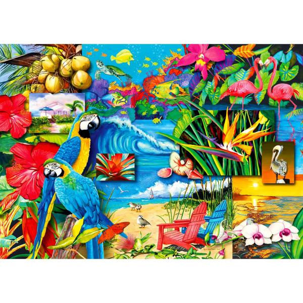 Puzzle 1000 piezas: Tesoros tropicales     - Enjoy-2034