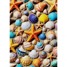 Puzzle de 1000 Piezas  : Tesoro de laPlaya