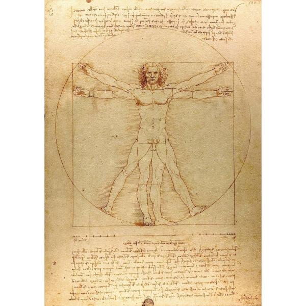 Puzzle 1000 pièces : The Vitruvian Man  - Enjoy-1557