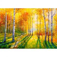 Puzzle 1000 pièces : Birch Grove  