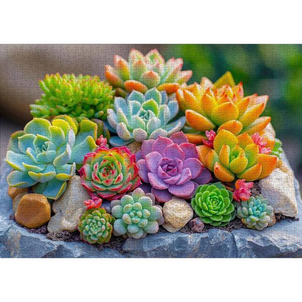 Puzzle 1000 pieces : Succulents - Enjoy-2277