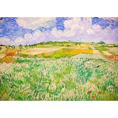 Puzzle 1000 Teile :  Vincent Van Gogh – Ebene bei Auvers