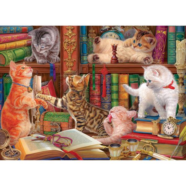 Puzzle 1000 pièces : Les chatons de la bibliothèque par Image World - Eurographics-6000-5913