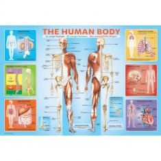 Puzzle 200 pieces : The Human Body