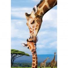 Puzzle 250 pièces : Collection Save our planet : Girafes