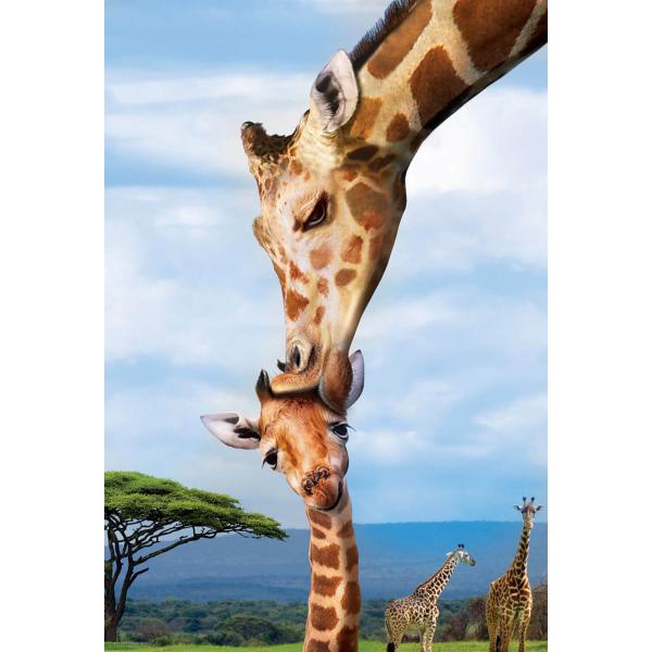 Puzzle 250 Teile: Save our planet Kollektion: Giraffen - EuroG-8251-0294