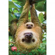 Puzzle 250 pieces: Save our planet collection: Sloths