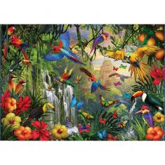 Puzzle 500 pièces XL : Le paradis des oiseaux tropicaux, Carolin