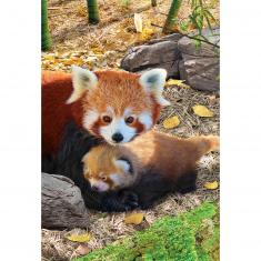 Puzzle 250 pièces : Collection Save our planet : Pandas rouges
