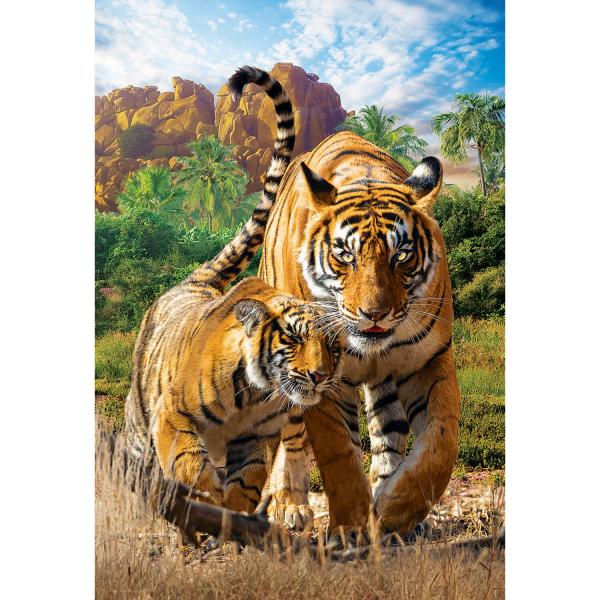 Puzzle 250 pieces: Save our planet collection: Tigers - EuroG-8251-5559