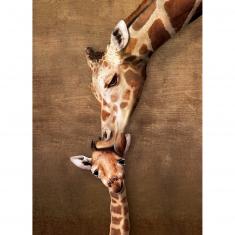 Puzzle de 500 piezas grandes : El beso de la mama jirafa