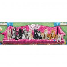 Puzzle panorámico de 1000 piezas: sofá de gatitos