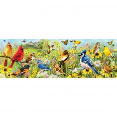 Puzzle 1000 pièces panoramique :  Oiseaux de jardin