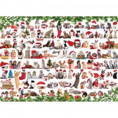 1000 Teile Puzzle: Weihnachtskatzen