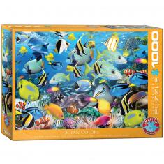 Puzzle 1000 pieces: Colors of the ocean