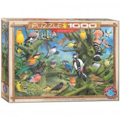 Puzzle mit 1000 Teilen: Gartenvögel