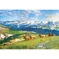 Puzzle 1000 pièces : Les élans de la montagne