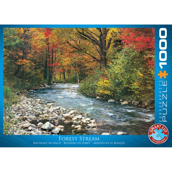 1000 pieces puzzle: Forest stream - EuroG-6000-2132