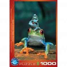 Puzzle 1000 pièces : Grenouille aux yeux rouges