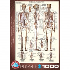 1000 pieces puzzle: the skeleton