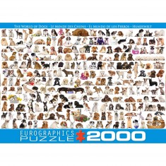 Puzzle 2000 pièces : Le monde des chiens