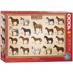 Puzzle 1000 pièces : Les chevaux