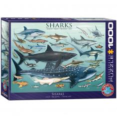 Puzzle 1000 pieces: Sharks