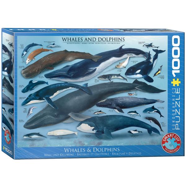 Puzzle 1000 pieces: Whales and dolphins - EuroG-6000-0082
