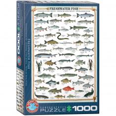 Puzzle 1000 piezas: Peces de agua dulce