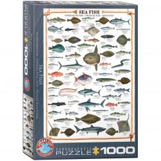 Puzzle 1000 pièces : Poissons de mer