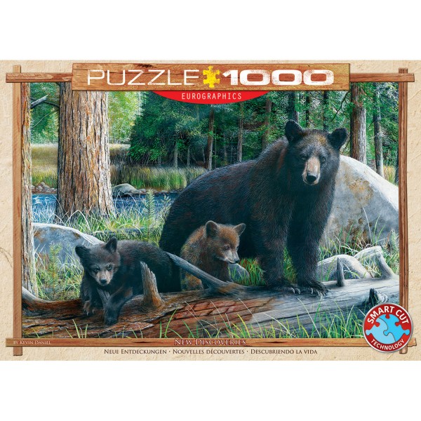 1000 pieces puzzle: New discoveries - EuroG-6000-0793