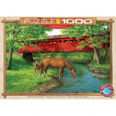 Puzzle 1000 pièces : Passerelle à l'eau douce