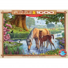 Puzzle 1000 pièces : Poneys