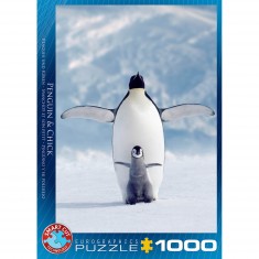 1000 pieces puzzle: Penguin and her cub