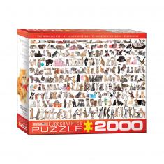 Puzzle 2000 pièces : Le monde des chats