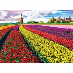 1000 pieces puzzle: Tulip field