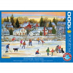 1000 Teile Puzzle: Eislaufnacht