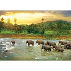 Puzzle 1000 pièces : Save the planet : Forêt tropicale