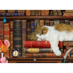 Jigsaw Puzzle - 500 XL pieces: The cat's nap