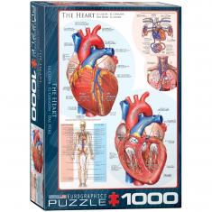 Puzzle 1000 pièces : Le coeur