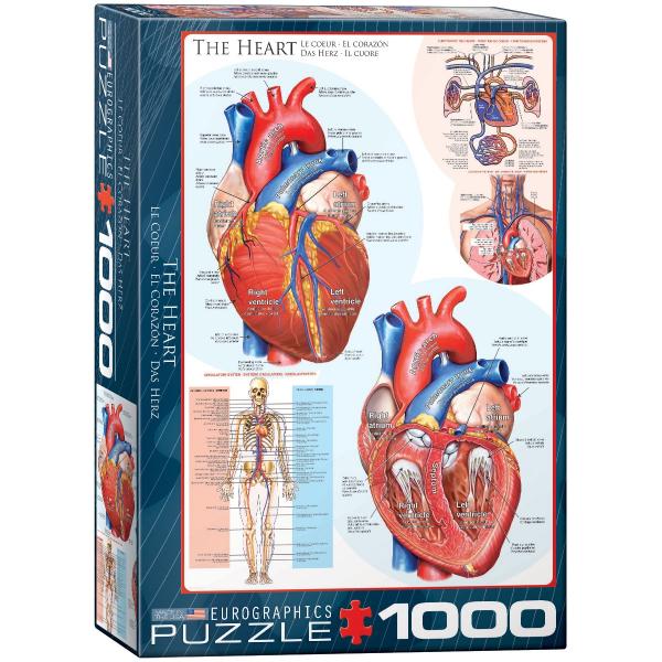 Puzzle 1000 pièces : Le coeur - EuroG-6000-0257