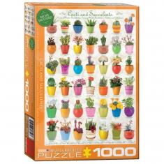 1000 Teile Puzzle: Kaktus