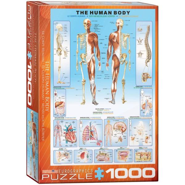 1000 pieces puzzle: the human body - EuroG-6000-1000