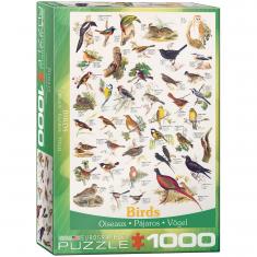 1000 Teile Puzzle: Vogelcharter