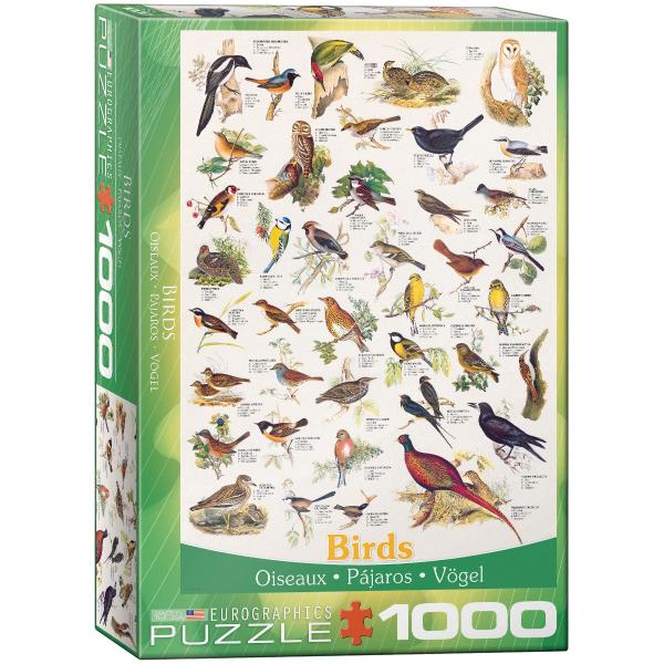Puzzle 1000 pièces : Oiseaux - EuroG-6000-1259