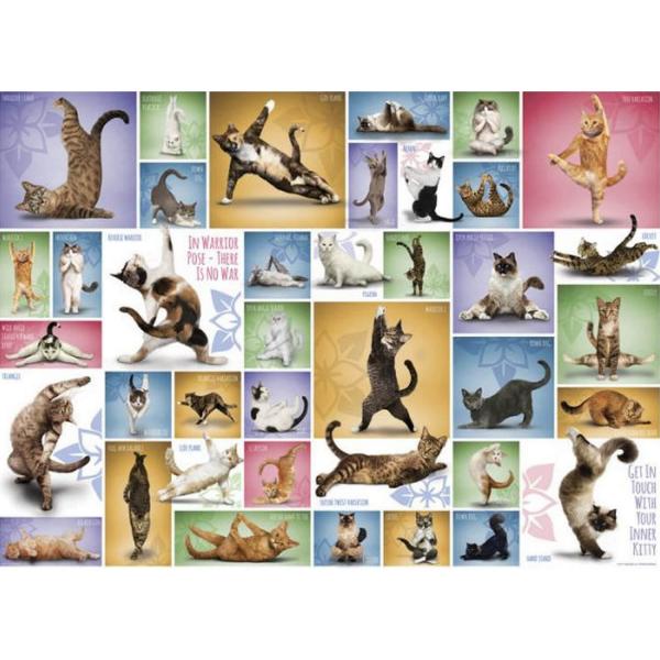1000 pieces puzzle: cat yoga - EuroG-6000-0953