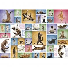 Puzzle 1000 pièces : Le yoga des chats